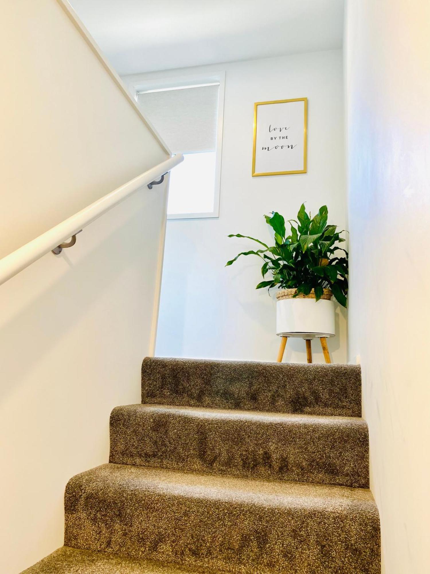 Perfect Modern Townhouse Cbd Christchurch Esterno foto